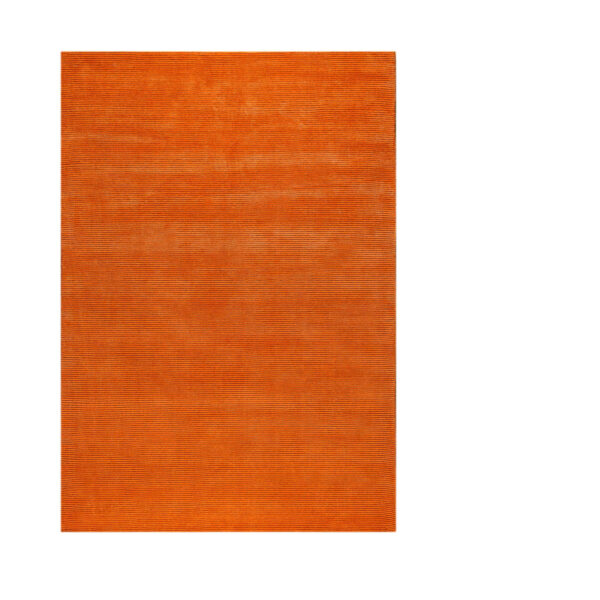 Vibrant Citrus