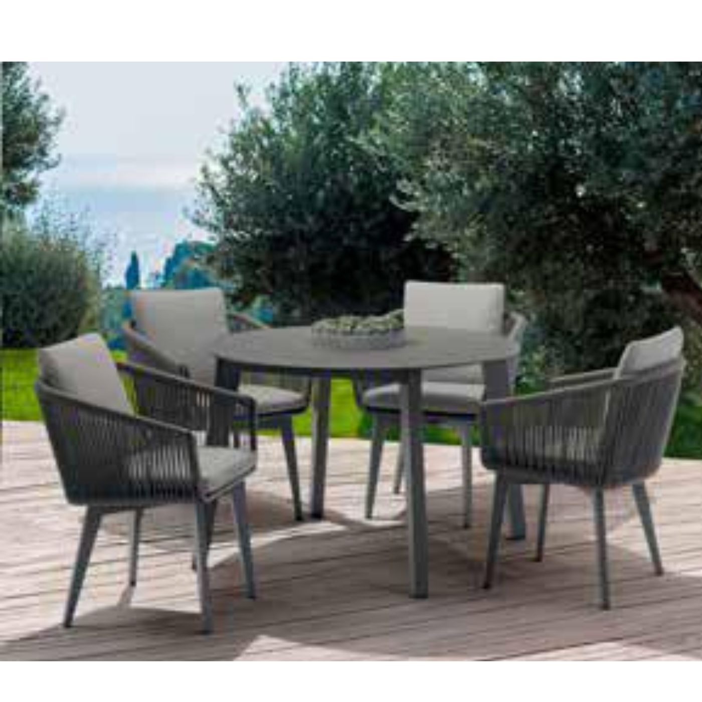 DIVA Collection - Image 5