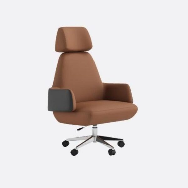 EXPLORATION-DESK CHAIR- MZN C1- 115